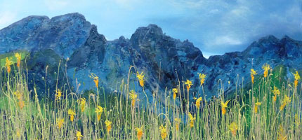 Jeremy Rossiter Paintings